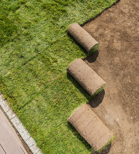 proterra landscaping services 6